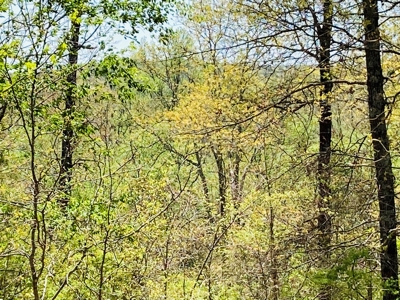 Creek Property For Sale In Calico Rock, Arkansas - image 49