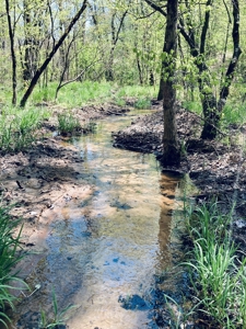 Creek Property For Sale In Calico Rock, Arkansas - image 45