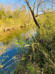 Creek Property For Sale In Calico Rock, Arkansas - image 4