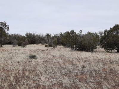 Beautifully treed rural off grid 2 acre parcel - image 14