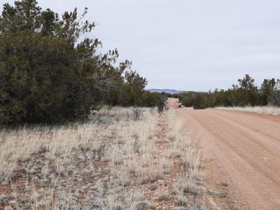 Beautifully treed rural off grid 2 acre parcel - image 2