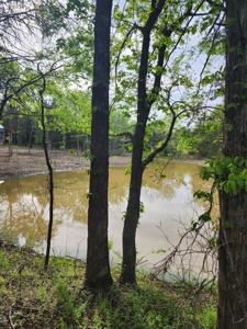 Cabin for Sale Sardis Lake Clayton, OK/Recreational Property - image 14