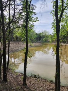 Cabin for Sale Sardis Lake Clayton, OK/Recreational Property - image 16