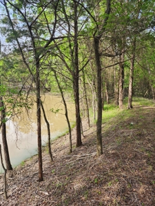 Cabin for Sale Sardis Lake Clayton, OK/Recreational Property - image 15