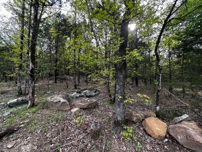 Cabin for Sale Sardis Lake Clayton, OK/Recreational Property - image 2