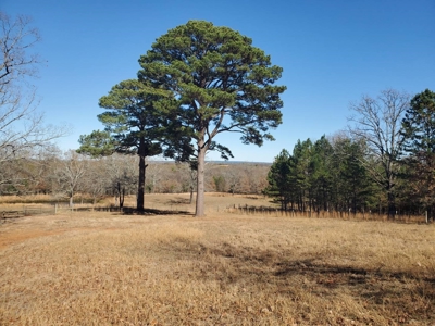 Nice Home & 40 Acre Farm For Sale Antlers, Ok - image 4