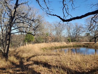 Nice Home & 40 Acre Farm For Sale Antlers, Ok - image 6