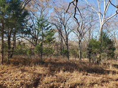 Nice Home & 40 Acre Farm For Sale Antlers, Ok - image 7