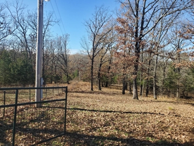 Nice Home & 40 Acre Farm For Sale Antlers, Ok - image 14