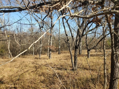 Nice Home & 40 Acre Farm For Sale Antlers, Ok - image 5