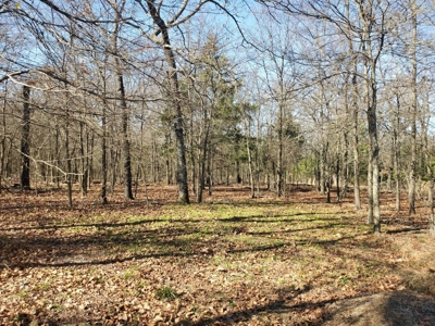 Nice Home & 40 Acre Farm For Sale Antlers, Ok - image 18