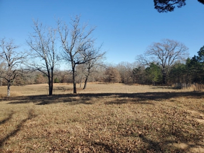 Nice Home & 40 Acre Farm For Sale Antlers, Ok - image 10