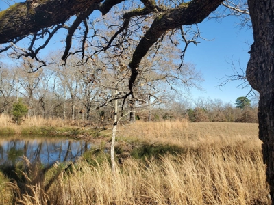 Nice Home & 40 Acre Farm For Sale Antlers, Ok - image 8