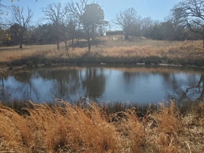 Nice Home & 40 Acre Farm For Sale Antlers, Ok - image 3