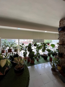 Spacious commercial space in Edificio Comosa, Panama City - image 9