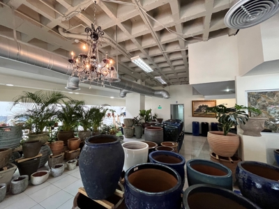 Spacious commercial space in Edificio Comosa, Panama City - image 5