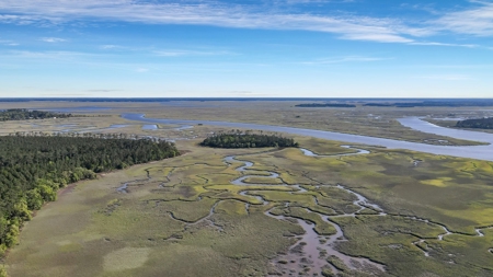 Waterfront Homesite in Coastal Liberty County, GA - image 36
