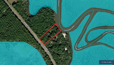 Waterfront Homesite in Coastal Liberty County, GA - image 2