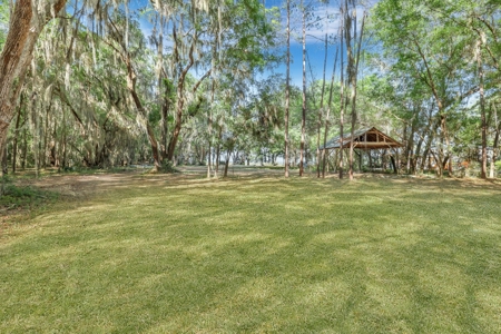 Waterfront Homesite in Coastal Liberty County, GA - image 6