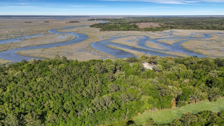 Waterfront Homesite in Coastal Liberty County, GA - image 34