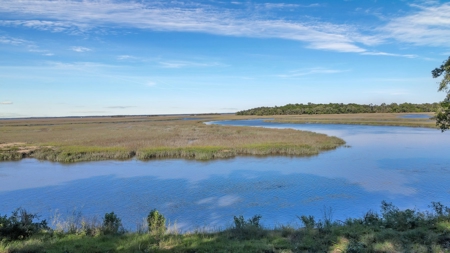 Waterfront Homesite in Coastal Liberty County, GA - image 39
