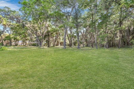 Waterfront Homesite in Coastal Liberty County, GA - image 20