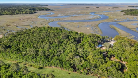 Waterfront Homesite in Coastal Liberty County, GA - image 33