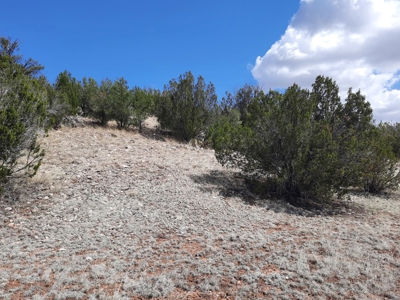 Rural off grid parcel tucked up against state land - image 8