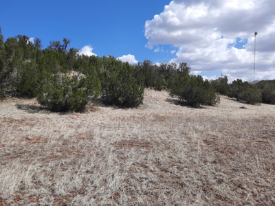 Rural off grid parcel tucked up against state land - image 1