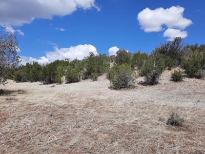 Rural off grid parcel tucked up against state land - image 2