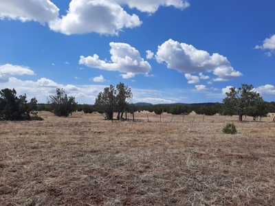 Rural off grid parcel tucked up against state land - image 9