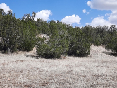 Rural off grid parcel tucked up against state land - image 12