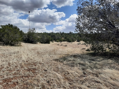 Rural off grid parcel tucked up against state land - image 7