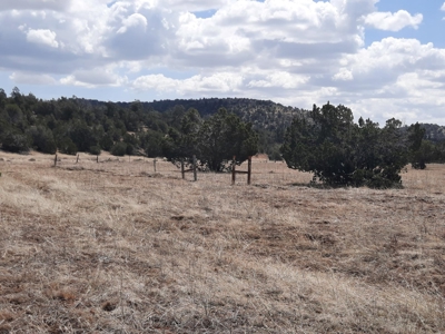 Rural off grid parcel tucked up against state land - image 10