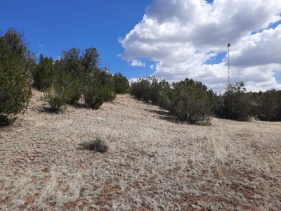 Rural off grid parcel tucked up against state land - image 6
