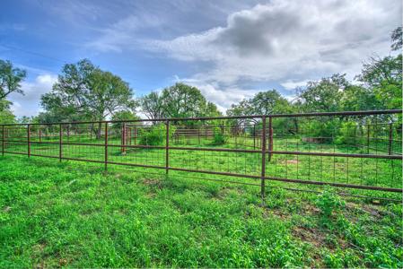 Irrigated Farm!  220+/- Acres in Atascosa/Wilson Co - image 6