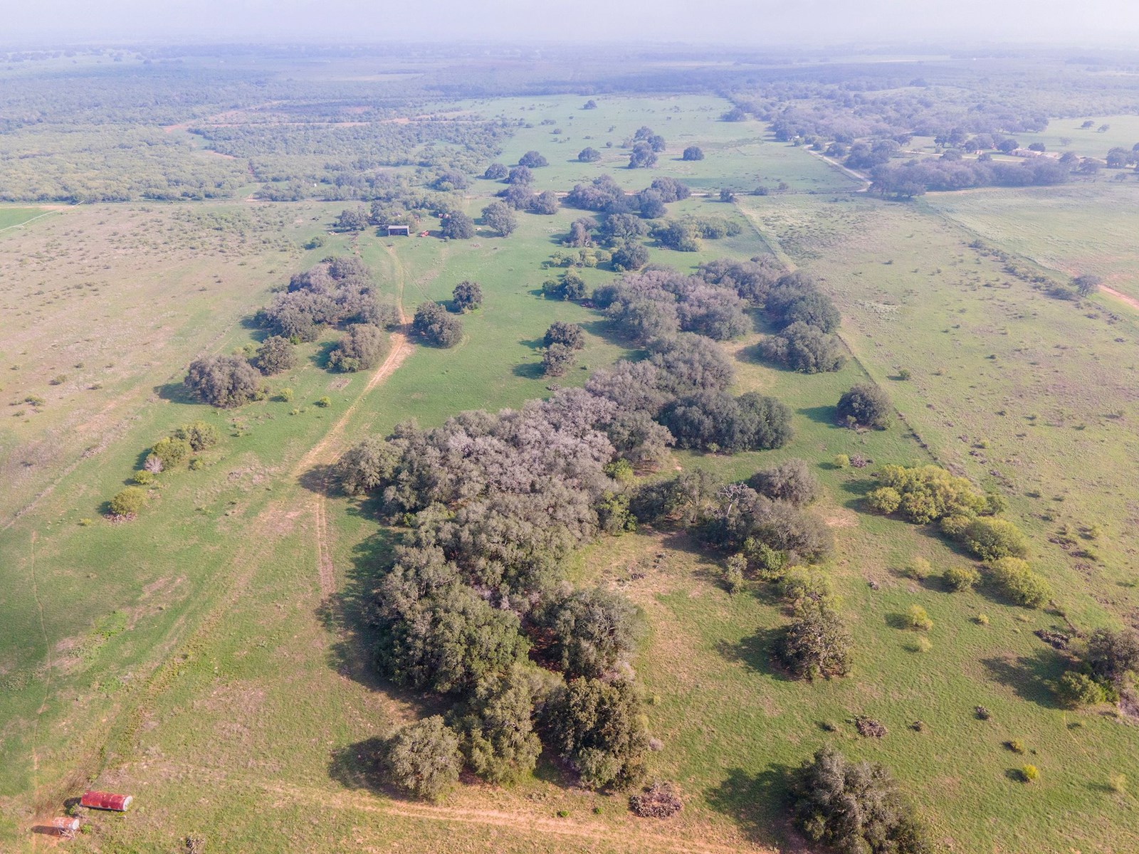 Irrigated Farm!  220+/- Acres in Atascosa/Wilson Co - image 22