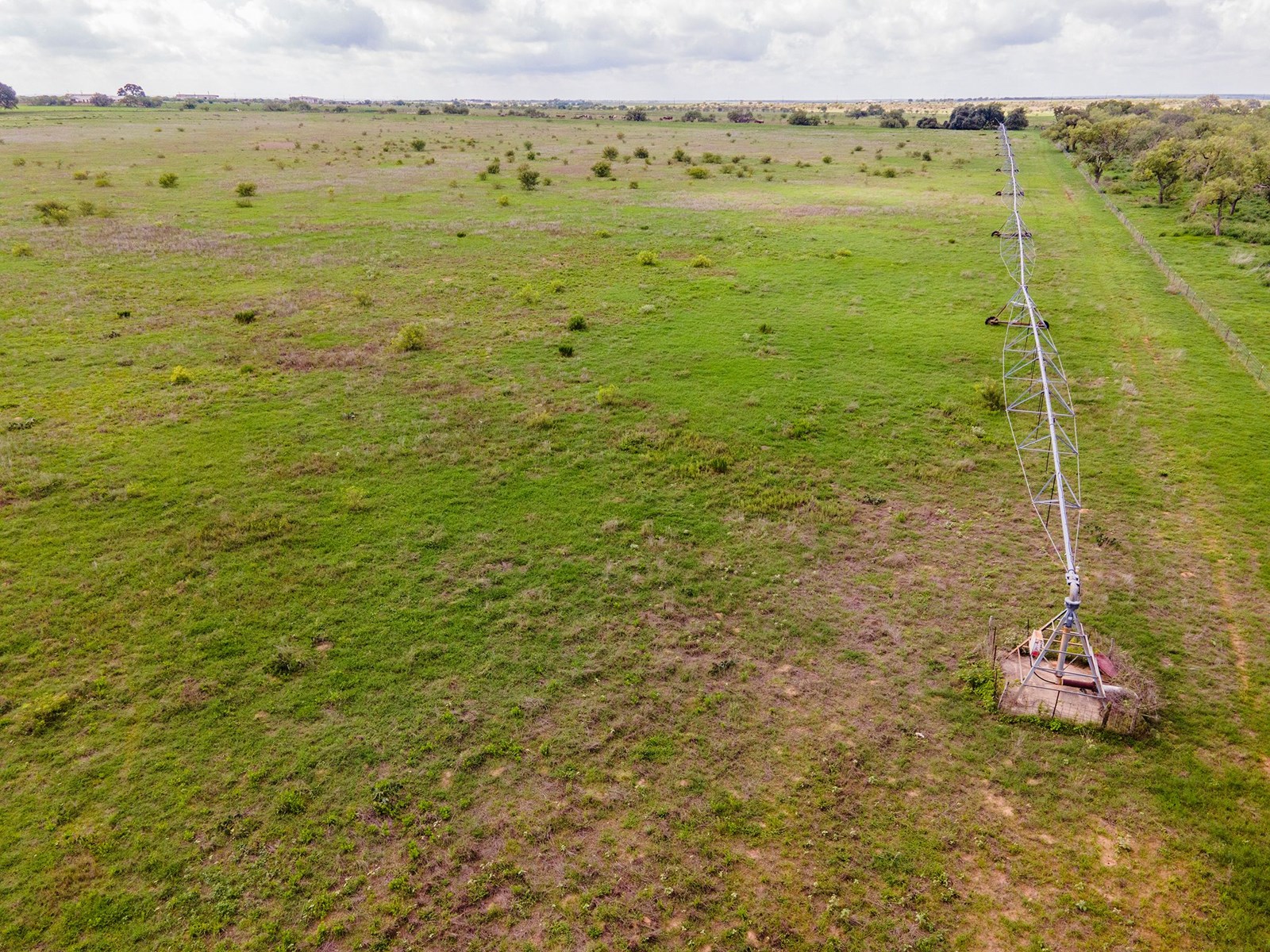 Irrigated Farm!  220+/- Acres in Atascosa/Wilson Co - image 2