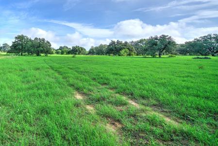 Irrigated Farm!  220+/- Acres in Atascosa/Wilson Co - image 9