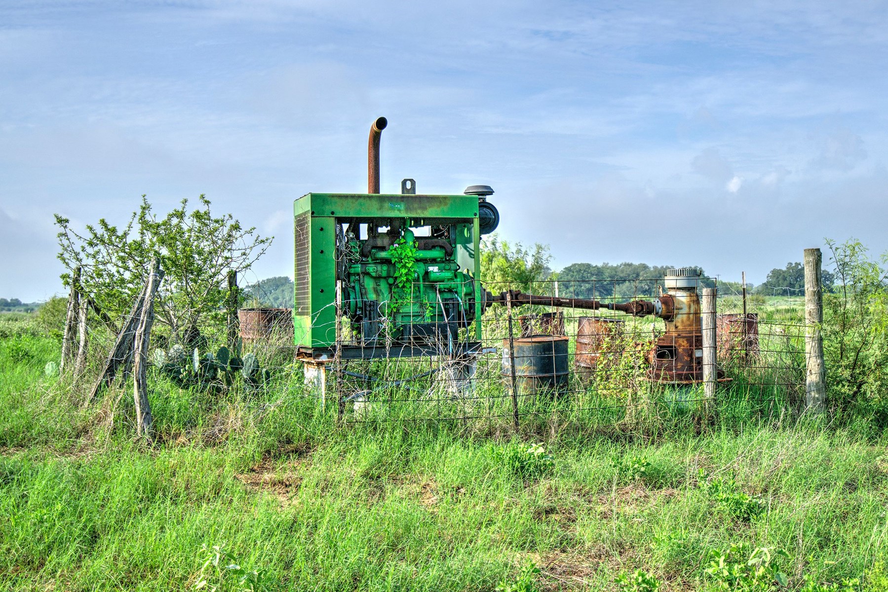 Irrigated Farm!  220+/- Acres in Atascosa/Wilson Co - image 10