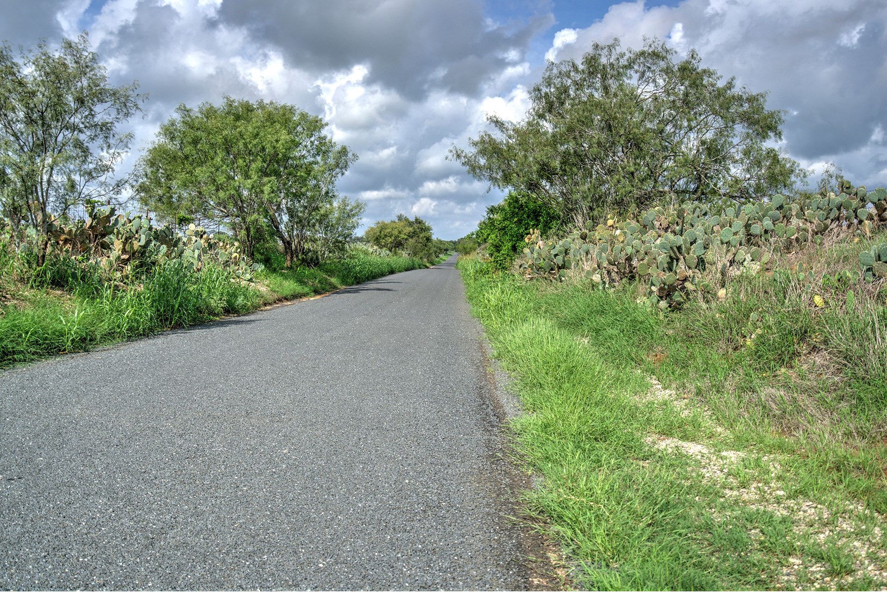 Irrigated Farm!  220+/- Acres in Atascosa/Wilson Co - image 3