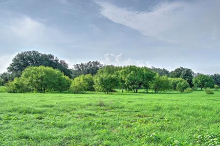 Irrigated Farm!  220+/- Acres in Atascosa/Wilson Co - image 15