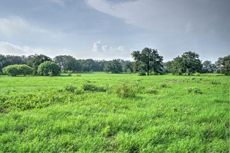 Irrigated Farm!  220+/- Acres in Atascosa/Wilson Co - image 16