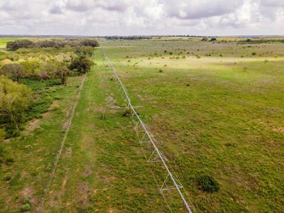 Irrigated Farm!  220+/- Acres in Atascosa/Wilson Co - image 18