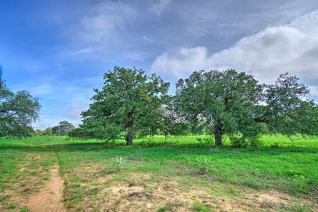 Irrigated Farm!  220+/- Acres in Atascosa/Wilson Co - image 8