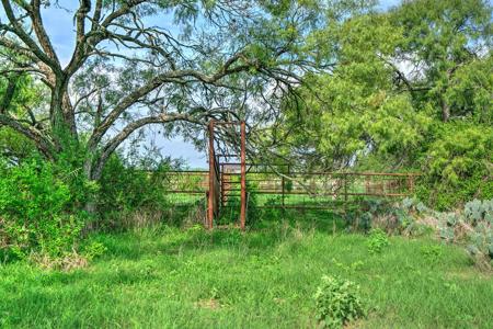 Irrigated Farm!  220+/- Acres in Atascosa/Wilson Co - image 4