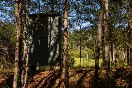 155 acres for Sale Hunting Land in Jefferson County MS - image 12