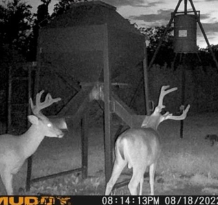 155 acres for Sale Hunting Land in Jefferson County MS - image 23