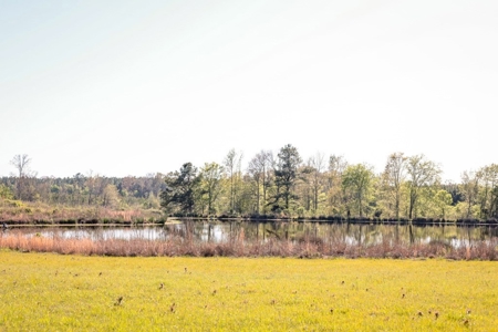 155 acres for Sale Hunting Land in Jefferson County MS - image 8