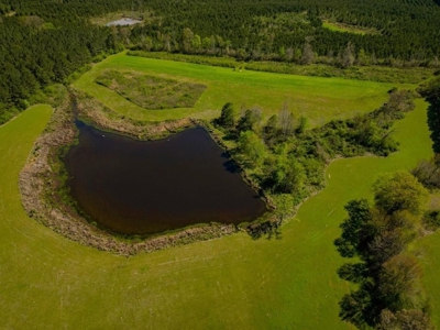 155 acres for Sale Hunting Land in Jefferson County MS - image 1
